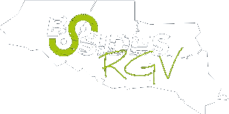 BSides RGV Logo